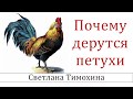 ✔Почему дерутся петухи"  - христианский рассказ сборника "Секрет Радости". Светлана Тимохина.