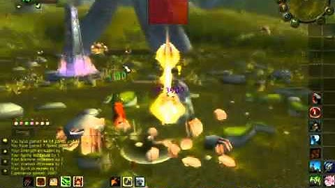 1 - 70 In 5 days 8 hours World Record - WoW Leveling Guide