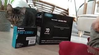 Unboxing: Boss Katana Mini + Roland PSB-230EU + First try + Cat