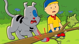 Caillou - Gilbert Veterinerde Caillou Türkçe - Wildbrain