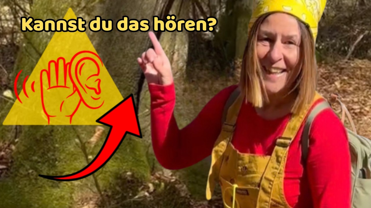 Frühling im Wald mit Kindern 🌱 Naturwissen mit Susi Sonne