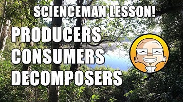 ScienceMan Lesson – Producers, Consumers, Decomposers