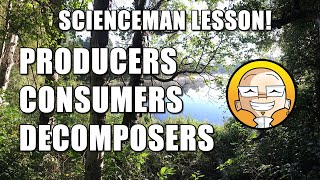 ScienceMan Lesson – Producers, Consumers, Decomposers