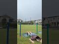 大雨警報