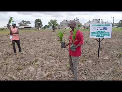 I Never Knew About Triangular Planting Until Today