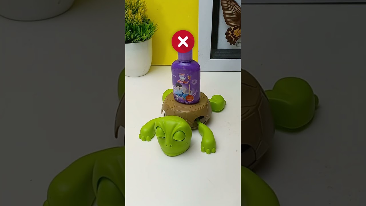 Cute adorable turtles - Turtle coaster 