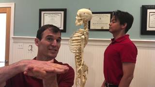 All About Your Ribcage
