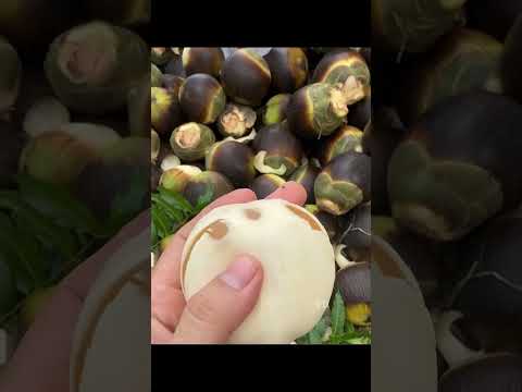 Не хлеб, а фрукт! Тайский плод с желе внутри