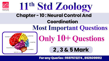 11th Std Zoology | Chapter - 10 | Most Important Questions | Only 10+ Questions - Public Centum Plan
