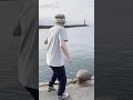 【防波堤の怪魚】＃shorts
