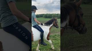 Bareback Hack!