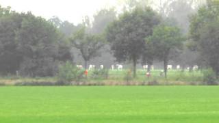 MVI_0724.MOV