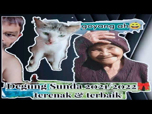 Degung Sunda kecapi suling penyejuk hati terenak dan terbaik 2021/2022!!!!