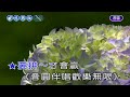 愛拚才會贏~葉啟田~男Bb調~伴奏~導唱3顆丙