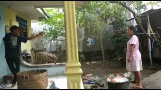 #story WA lucu ngakak