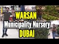 DUBAI MUNICIPALITY NURSERY AL WARSAN 2022