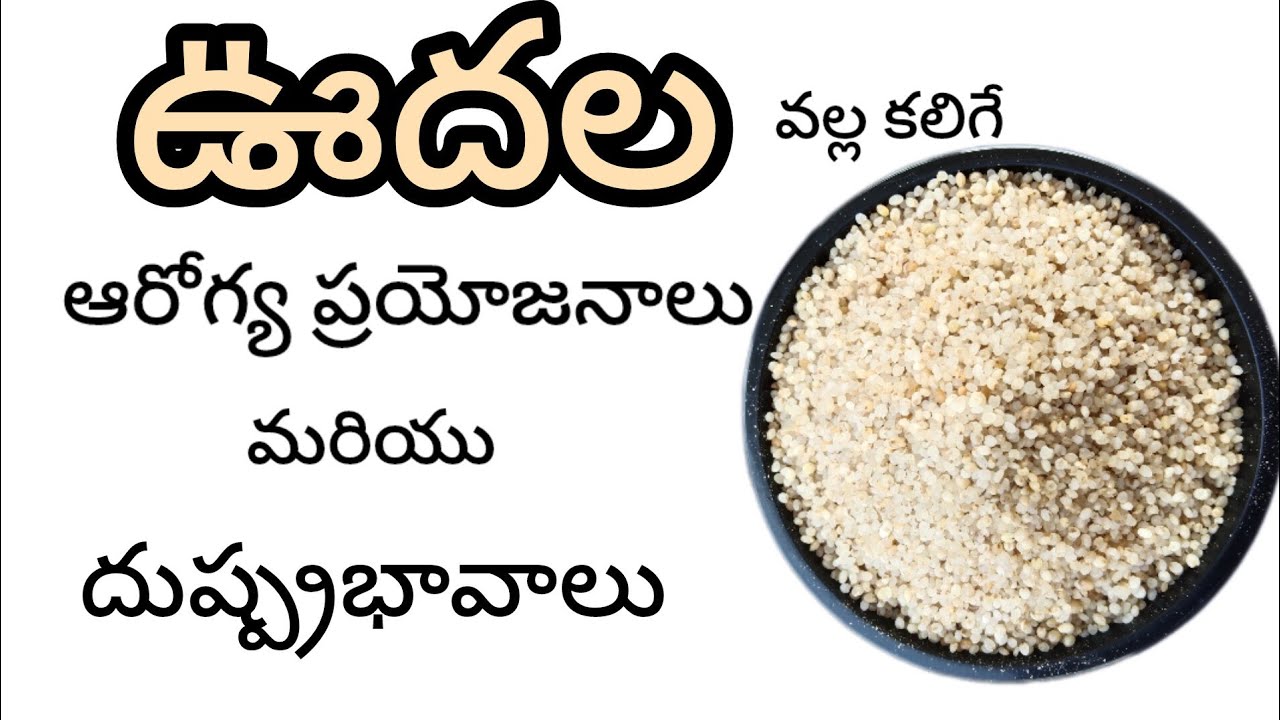ఊదల గురించి మీకు తెలియని నిజాలు l Barnyard Millet l #sideeffectsofbarnyardmillet #udalu