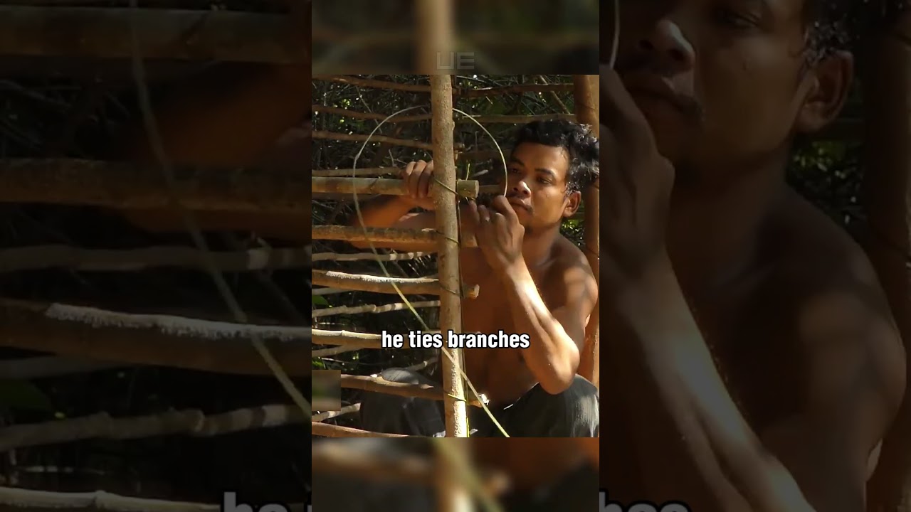 Building a Bamboo Villa in The Forrrest