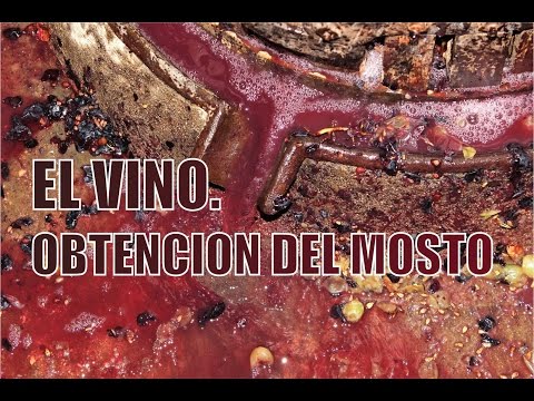 2/5. OBTENCIÓN DEL MOSTO. ELABORACIÓN CASERA Y TRADICIONAL DEL VINO