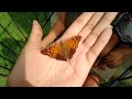 I was feeling down until this happened!!!🦋🦋🦋🦋