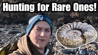 Stormy Seas, Rare Fossils! Fossil Hunting the Yorkshire Coast