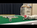 ツモる動作が遅くて対局者から罵詈雑言を浴びせられるジャム・ザ・ハウスネイル9
