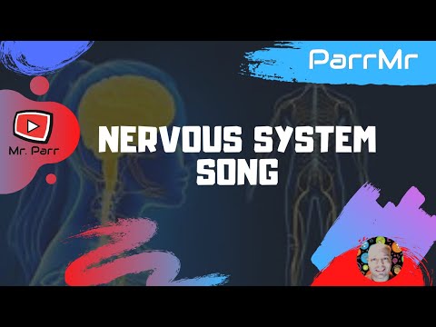 Nervous System Song
