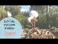 Супер зоопарк в Измире. Отдых в Турции 2018 doğal yaşam park