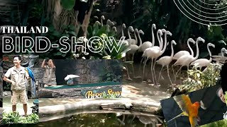 Best Bird sanctuary in Thailand | Safari World |