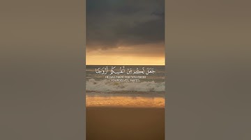 سورة الشورى الشيخ ياسر الدوسري #القرآن_الكريم #ارح_سمعك