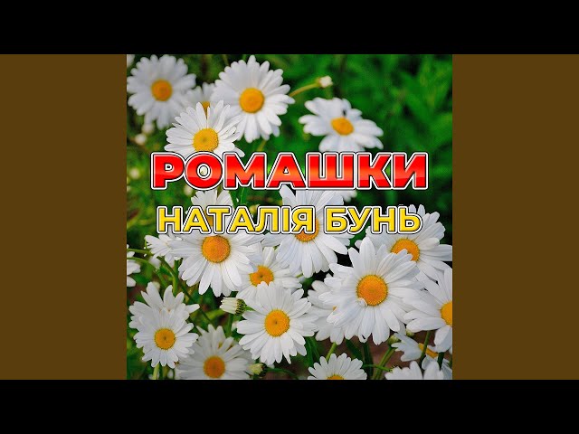 Коліжанка