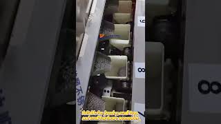 Hardware Parts Automatic Packing Machine
