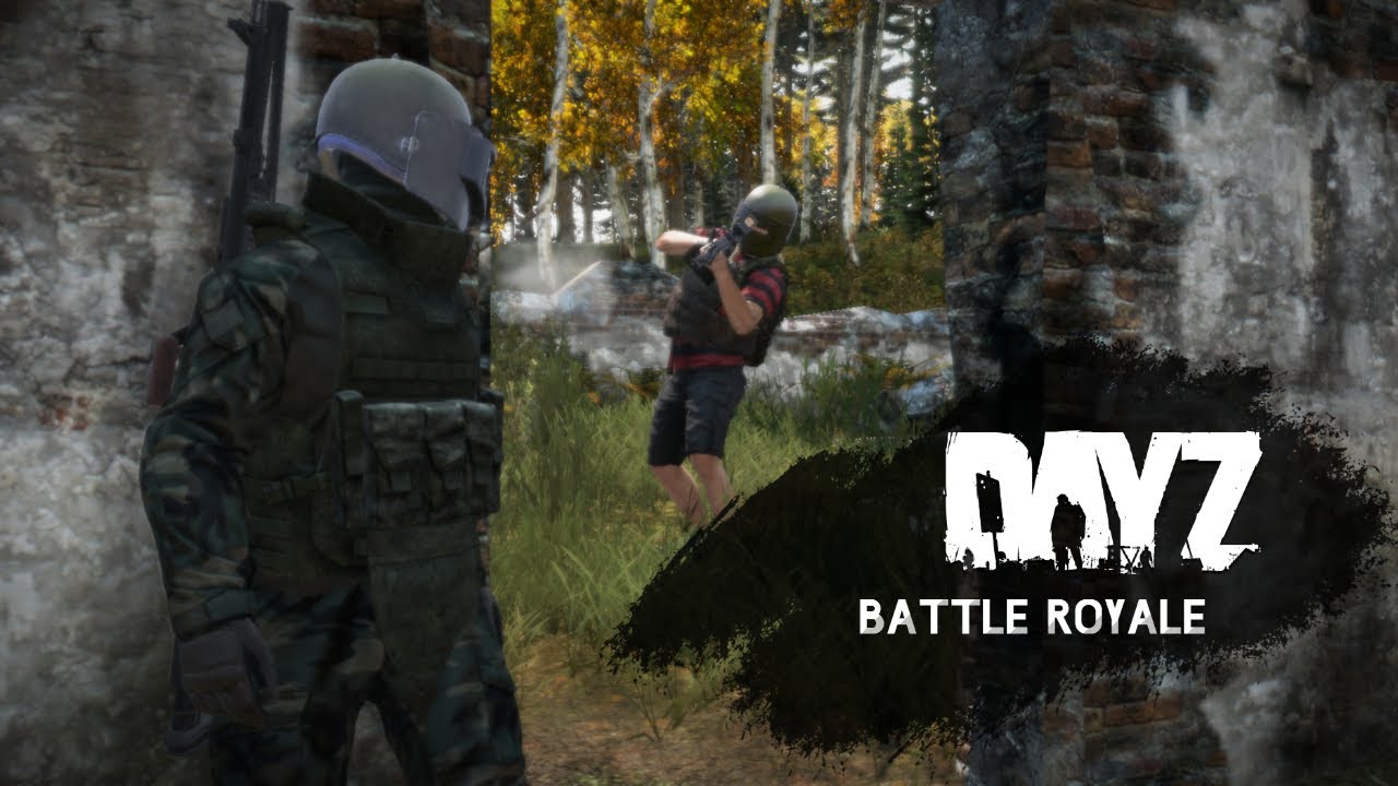 DAYZ BATTLE ROYALE | SECTORGAZA