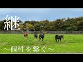 【馬体構造の診断】 牧場として未来へと繋ぐ視点!!️!!️