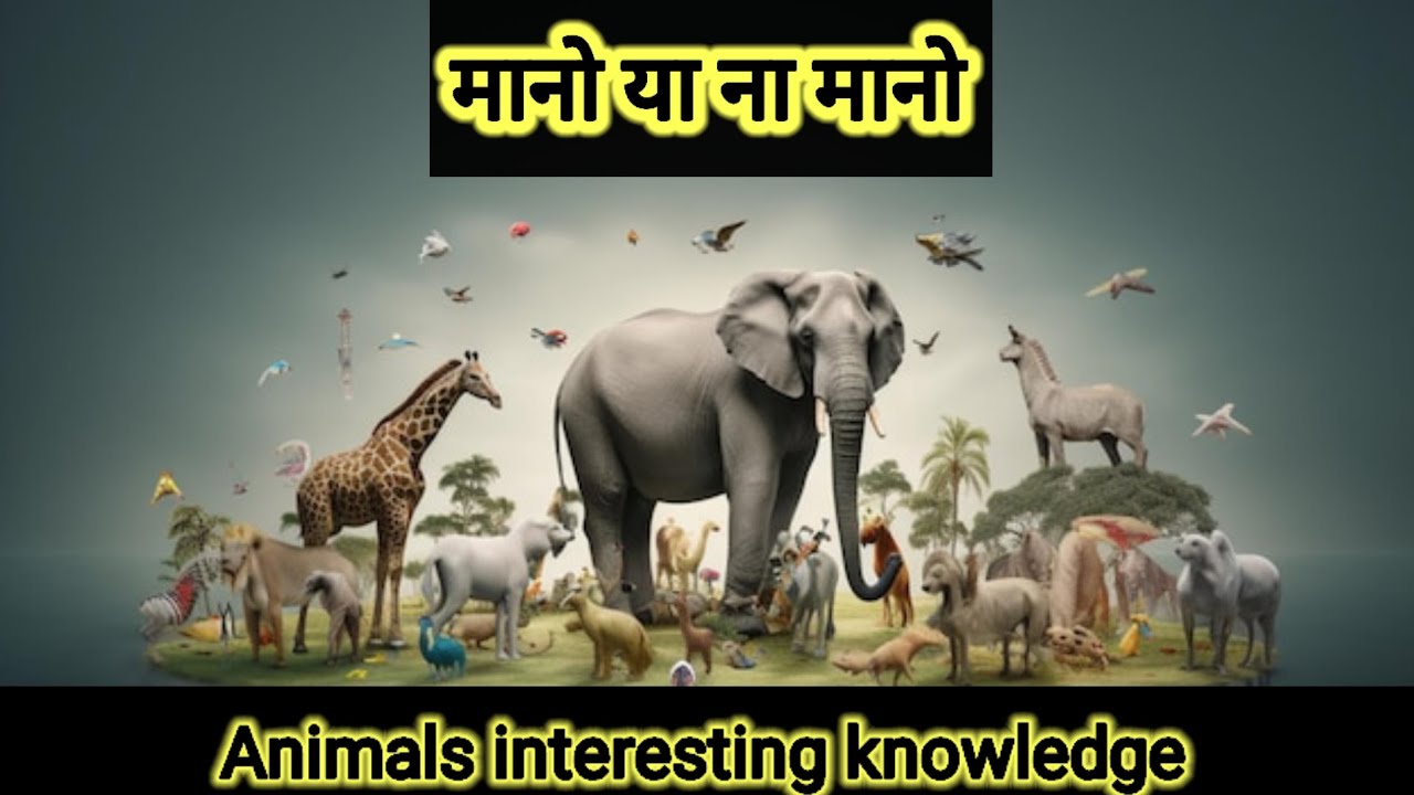Animals amazing facts. Animals knowledge. #viral #trending #youtube # ...