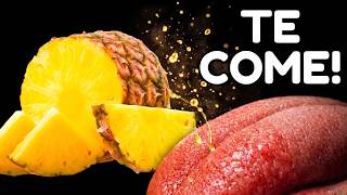 ¿Por qué la PIÑA te "Come" a Ti? | La extraña razón