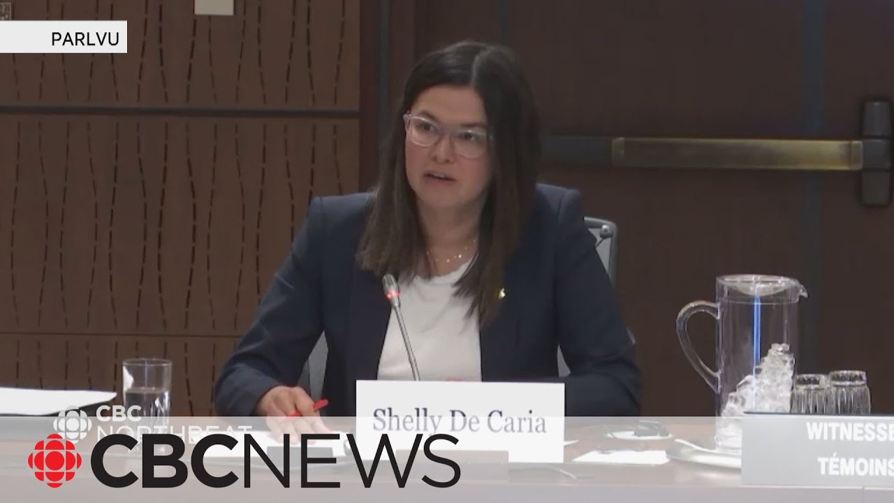 Air North and Canadian North CEOs testify: fees and regulations to blame for price jumps