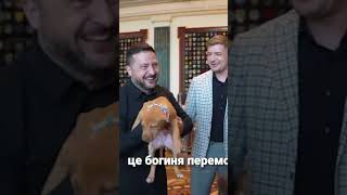 Zelenskyy was gifted an American Pit Bull Terrier puppy