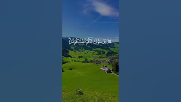 آية عظيمة من سورة يوسف بصوت خاشع يلامس الأرواح – عبدالعزيز سحيم