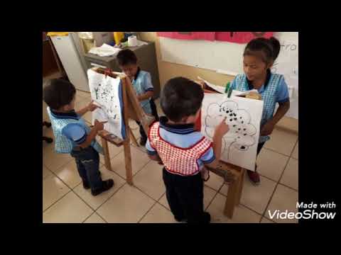 PEQUES TRABAJANDO - YouTube