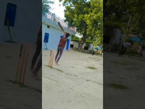 cricket short video 5