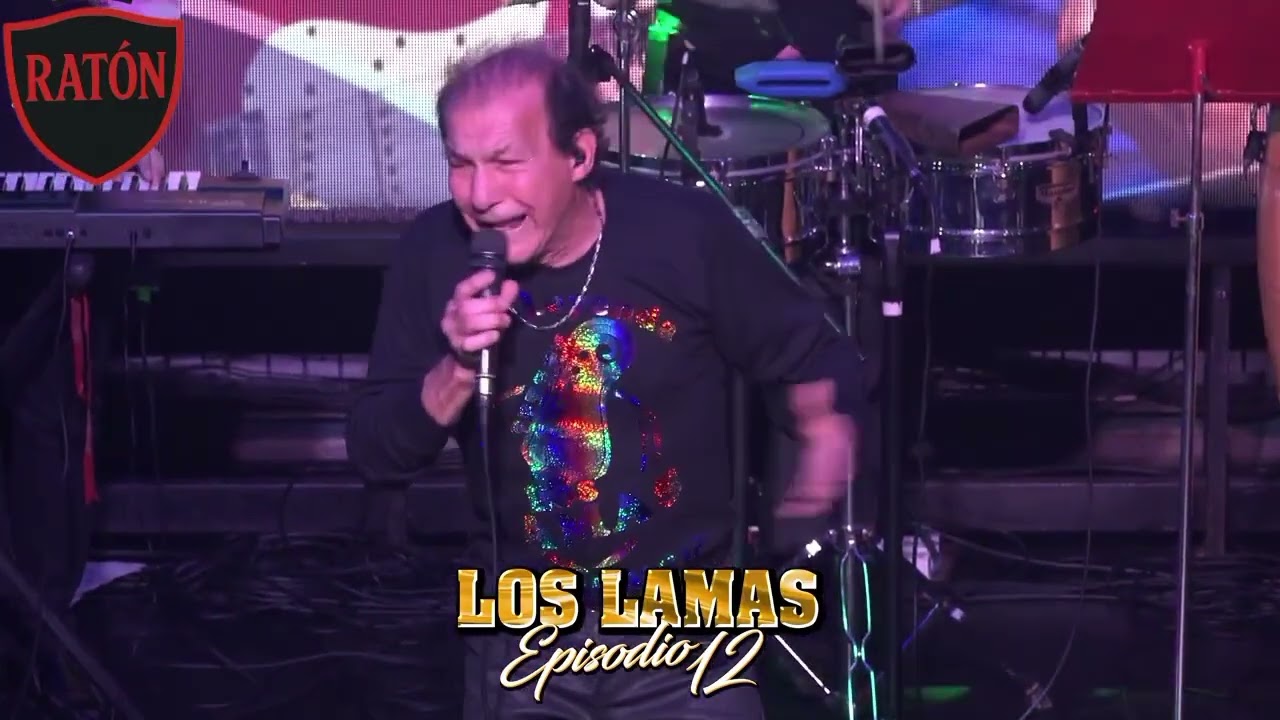 Parte 1 del episodio 12  ( LOS LAMAS )