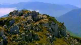 Glorioso Mester - La Navarra del Norte