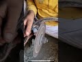 Saw Blade Sharpening Process Restores Teeth Edge With Grinding #renewfinish