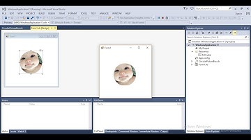 How to make Circular PictureBox in VB.NET