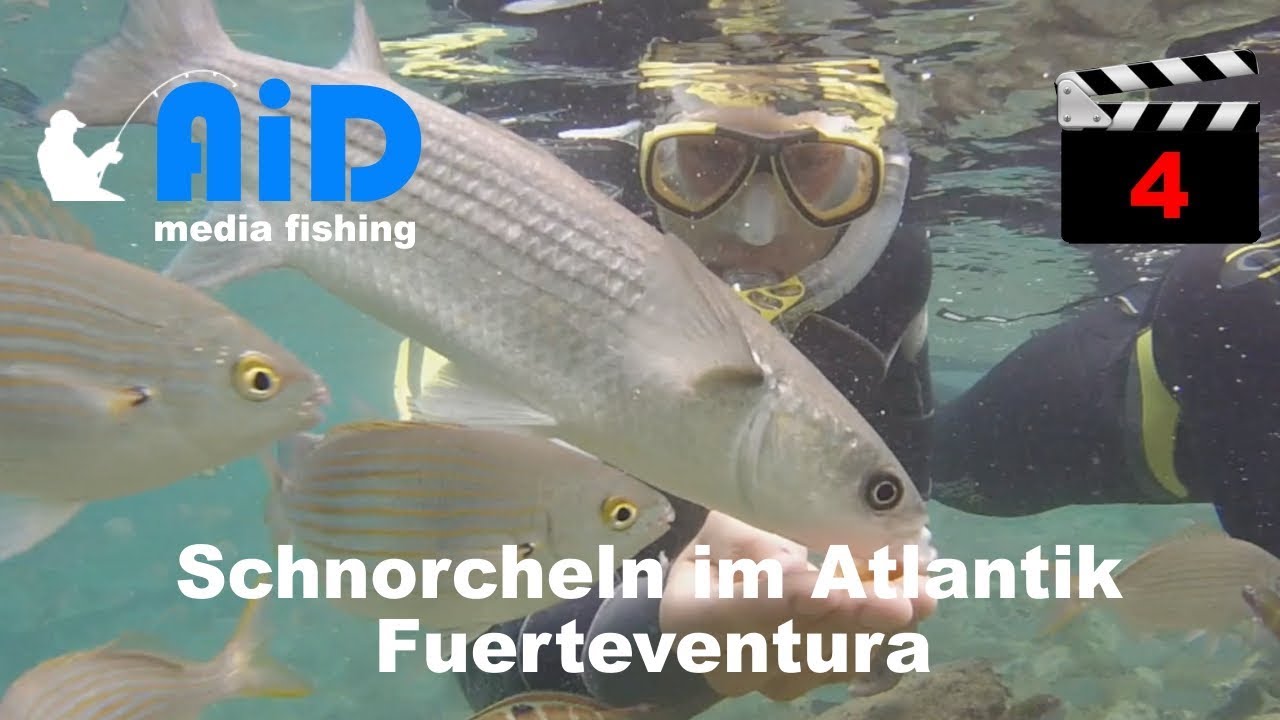 Wo Kann Man Auf Fuerteventura Am Besten Schnorcheln Schnorcheln im Atlantik - Fuerteventura - YouTube