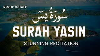 سورة يس كاملة | تلاوة هادئة | القارئ طارق محمد | Most beautiful recitation of Surah Yaseen (Yasin)