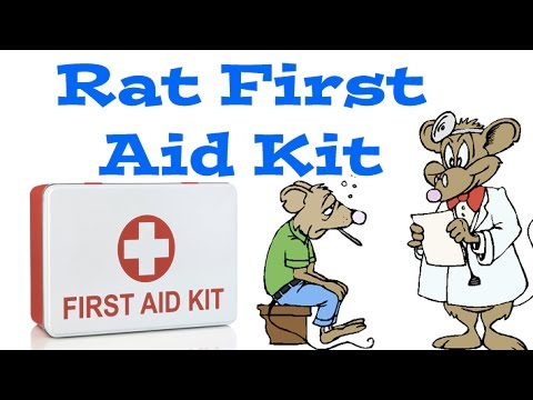 Rat First Aid Kit