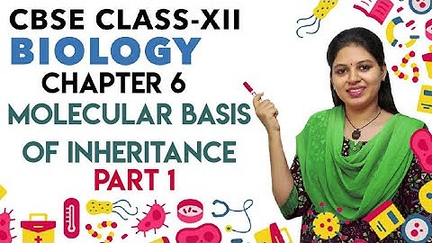 Molecular Basis of Inheritance | Part 1 | Class 12 | Biology | CBSE