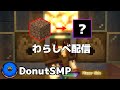 【DonutSMP】土からトレードだけで何になるん?